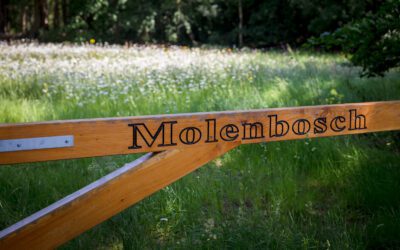 Molenbosch