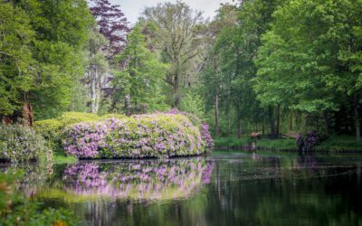 De Parkbossen Kunstroute